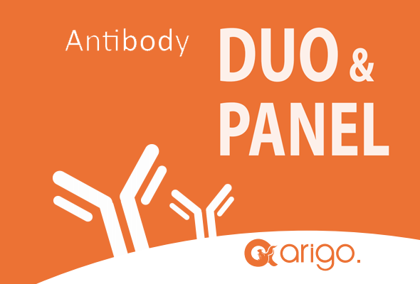 Antibody Duo | Antibody Panel 이미지