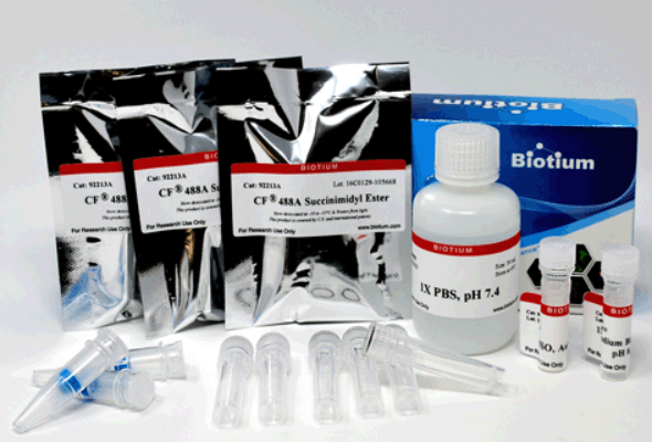 CF Dye & Biotin SE Protein Labeling Kits 이미지