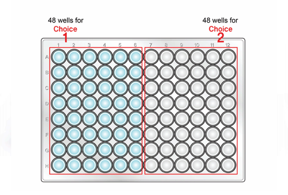 Cytokine ELISA Combo Kit 이미지