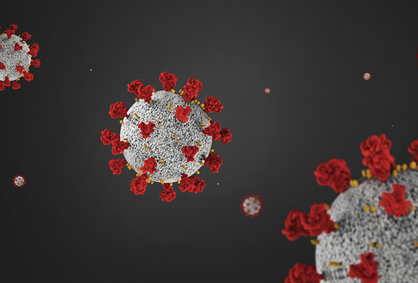 SARS-CoV-2 Blocking Peptides 이미지