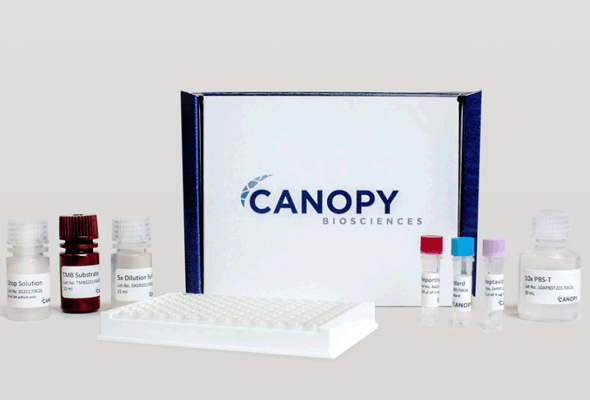 E.coli/CHO/HEK293 HCP ELISA Kit 이미지