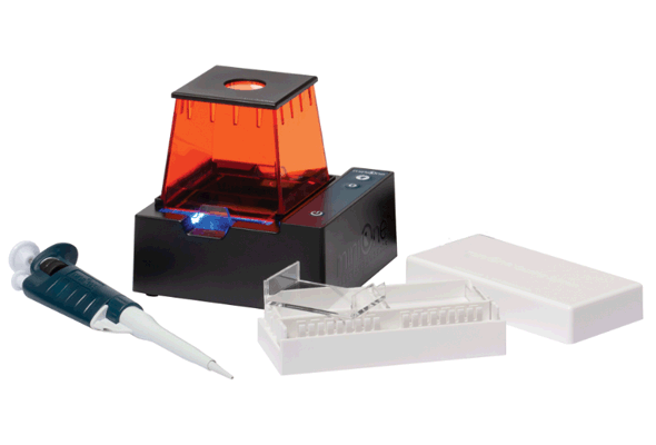 교육용 DNA 전기영동장치 | MiniOne® Electrophoresis System 이미지