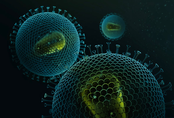 Non-integrating Lentivirus | Integrase-Deficient Lentivirus (IDLV) 이미지