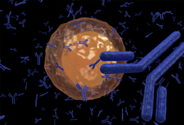 Dolphin, Zebrafish, Duck, Goose, Donkey, Turkey, Salmon Cytokine Antibody & Protein 이미지