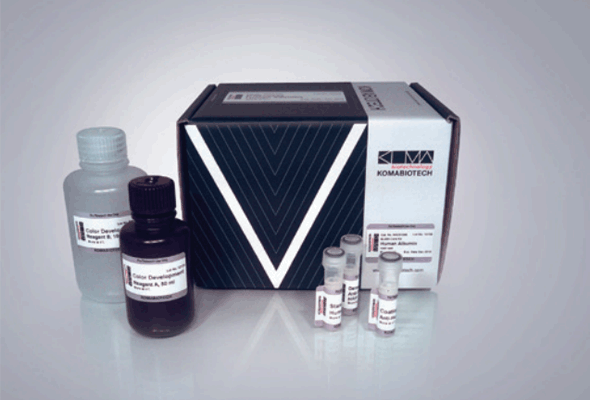 Immunoglobulin ELISA Core Kit 이미지