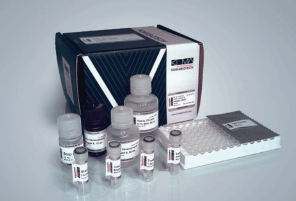 Immunoglobulin ELISA Kit 이미지