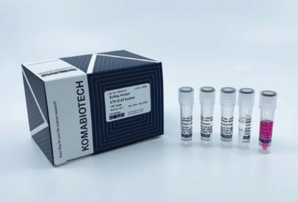 Human STR ID PCR Kit | Forensic Identification | Cell Line Authentication 이미지