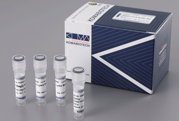 Direct PCR Buffer 이미지