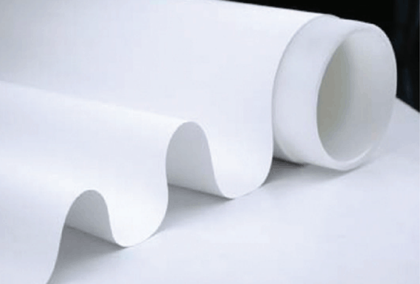 PVDF Transfer Membrane 이미지