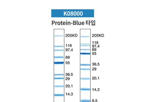 단백질 전기영동 마커 | EzWay™ Unstained Protein Marker 이미지