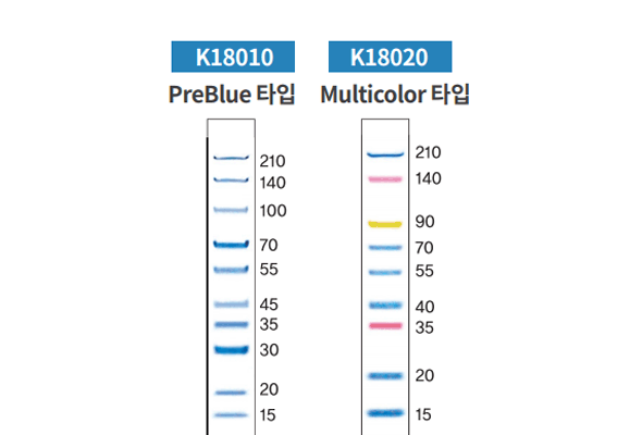 단백질 전기영동 마커 | EzWay™ Prestained Protein Marker 이미지