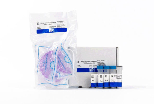 마이코플라즈마 PCR 확인 | Mycoplasma PCR Detection Kit 이미지