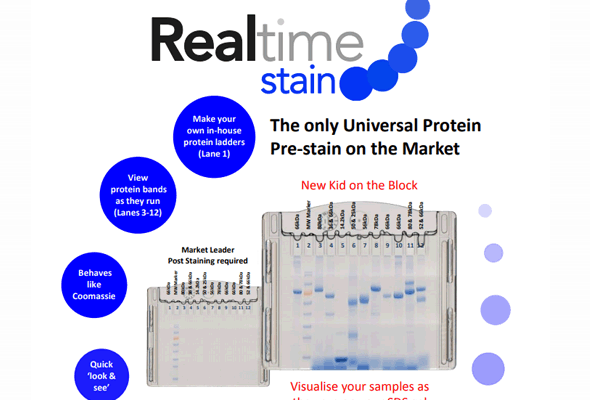 Realtime Stain | Protein Pre-Staining 이미지