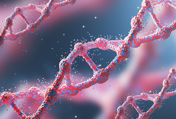 RNAi knockdown Sequence 검증서비스 이미지