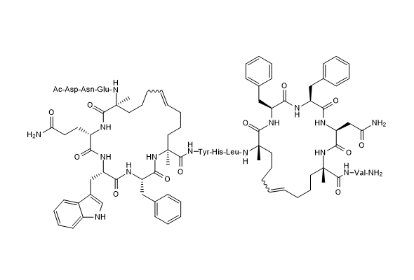 Stapled Peptides (스테이플 펩타이드) 이미지