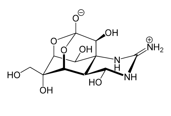 Tetrodotoxin & Conotoxin | Ion Channel Toxins 이미지