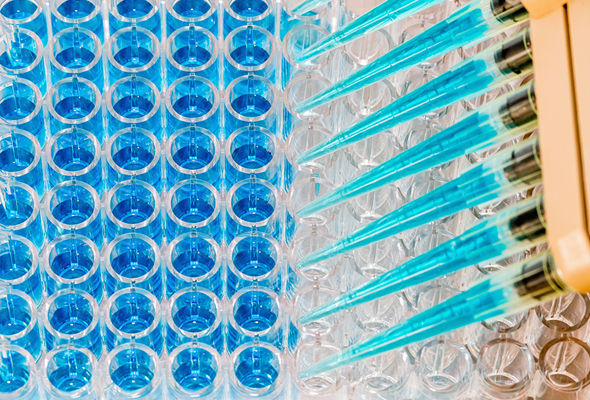 Animal Cytokine Multiplex ELISA kit 이미지