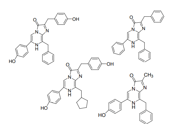 Coelenterazine | D-Luciferin | Luciferase Substrate 이미지