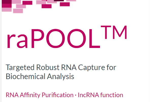 Antisense RNA Pool 제작서비스 | raPOOL™ 이미지