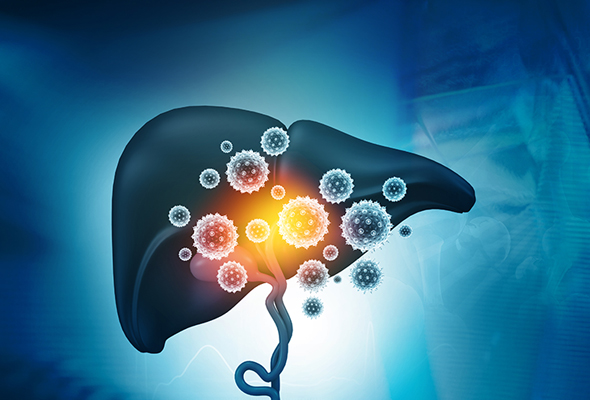 Hepatitis Antibody & Protein 이미지