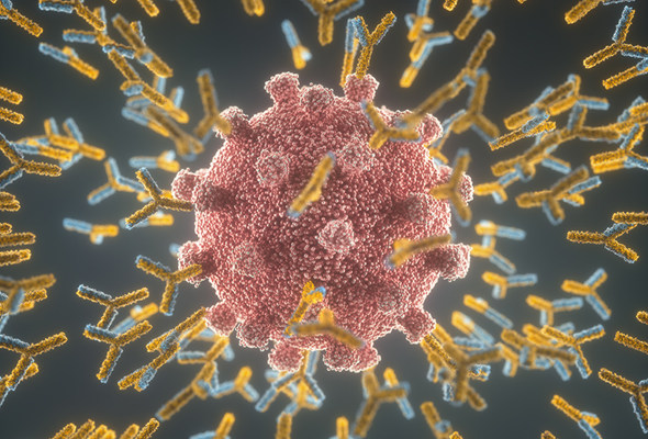 SARS-CoV-2 Matched Pair Antibodies 이미지