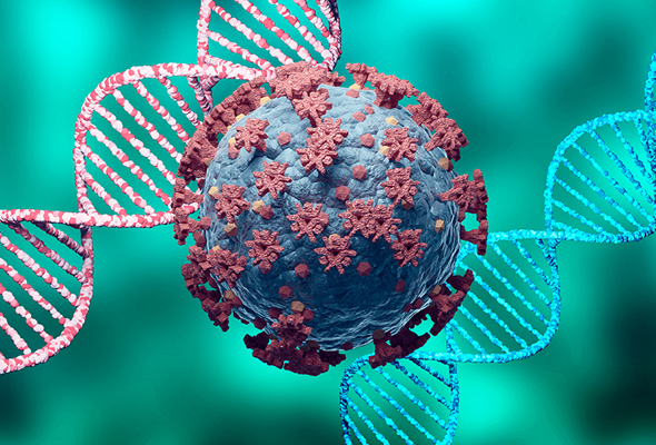 SARS-CoV-2 RT-qPCR Primers & Probes 제작서비스 이미지