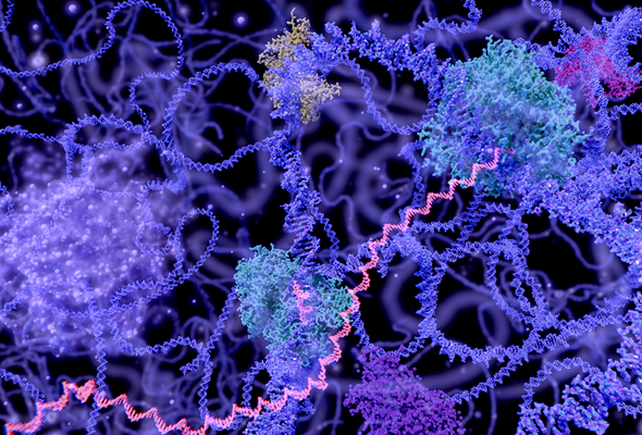 DNA/RNA/Protein Synthesis Inhibitor 이미지