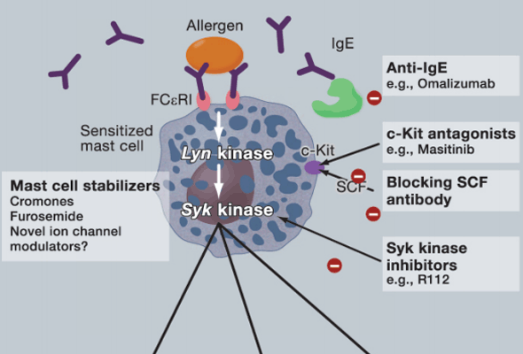 천식 연구 | Asthma Research Small Molecules 이미지