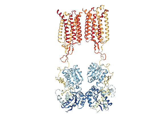 GABA 수용체 연구 | GPCR GABA Receptor Agonist & Antagonist 이미지