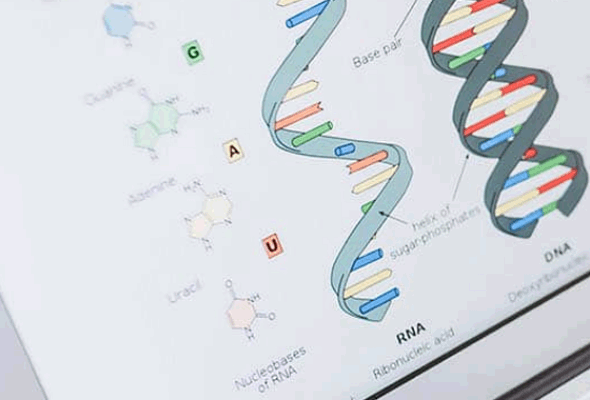 Primer 디자인 소프트웨어 | Multiplex PCR Primer Design Software 이미지