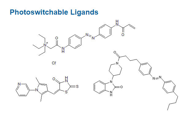 Photoswitchable Ligands 이미지