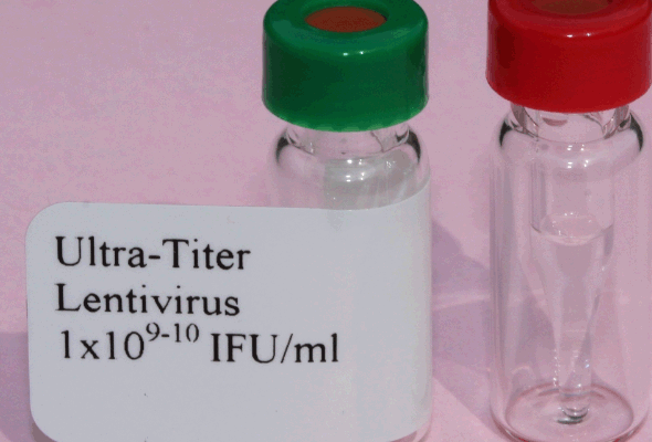 Ultra-titer Lentivirus 이미지