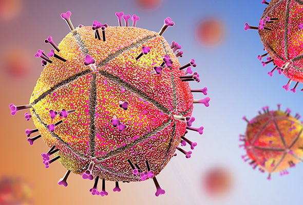 HIV ELISA Kit | STI Vaccine ELISA Kits 이미지