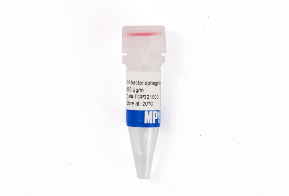 PCR Enhancer 이미지