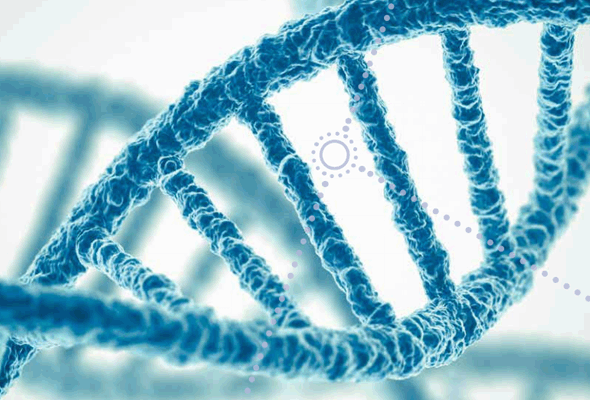 식품, 사료 샘플의 DNA Extraction Kit 이미지