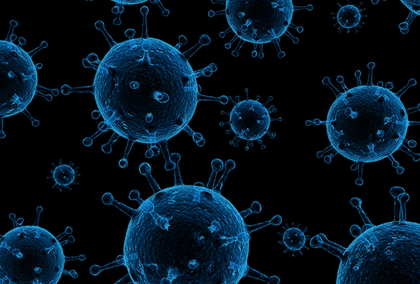 Virus Antibody & Proteins 이미지