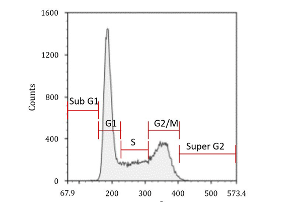 Cell Cycle / Apoptosis Analysis Kit 이미지