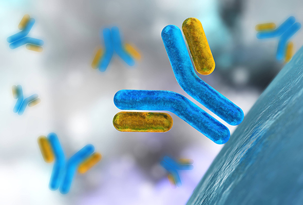 Antibody & Protein List (TA-TL) 이미지