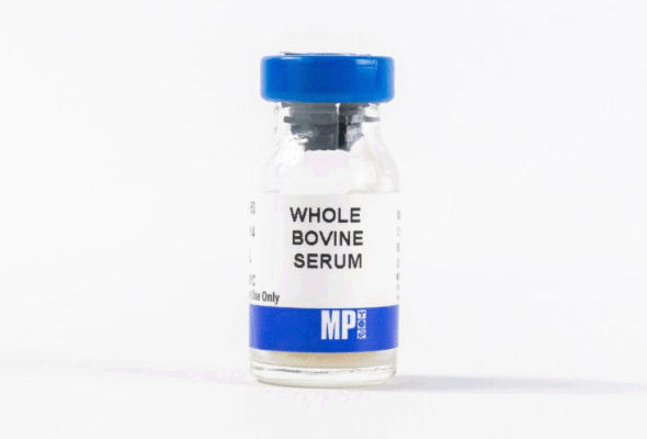 Control Serum | Whole Serum for Blocking 이미지