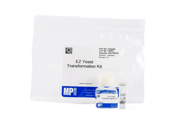 Yeast/Bacteria Transformation Kit 이미지