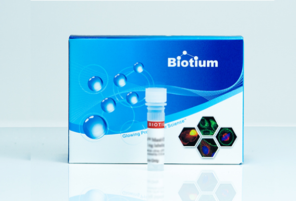 BIOTIUM Fluorescent Calcium, Chloride, Zinc, pH Indicator 이미지