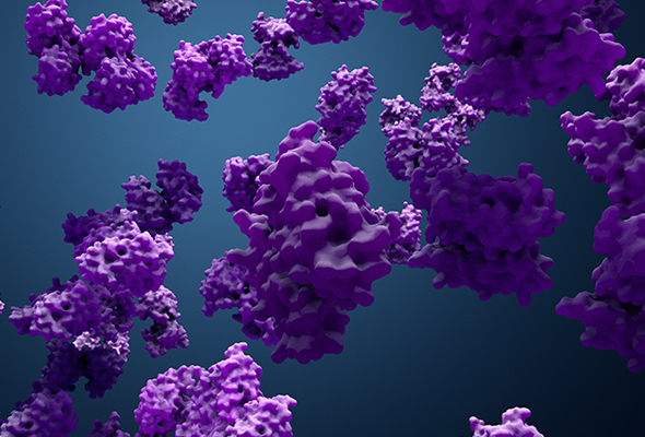 Allergen Protein & Antibody 이미지