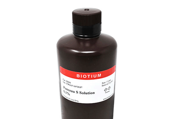 Ponceau S Staining Solution 이미지