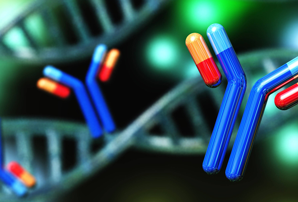 항체치료제 제작 서비스 | Therapeutic Antibody Production Service 이미지