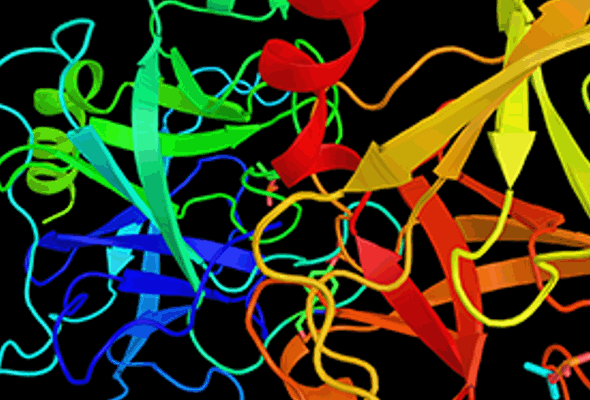 Protease 분석서비스 | Protease Screening Service 이미지