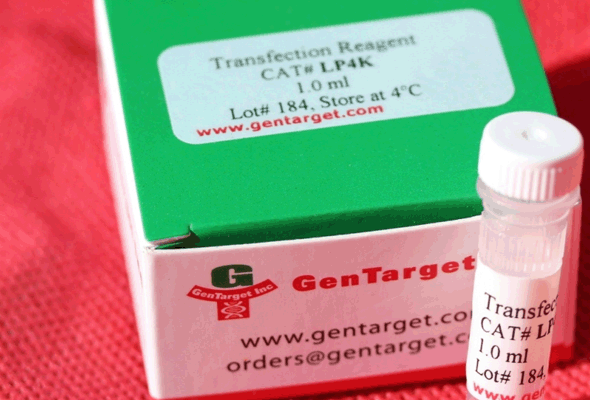 LP4K Transfection Reagent 이미지