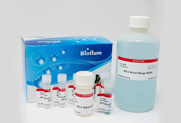 RNA 정량 | AccuBlue® Broad Range RNA Quantitation Kit 이미지