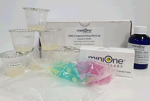 전기영동/PCR 과학 실험을 위한 시약세트 | MiniOne® MiniLabs 이미지