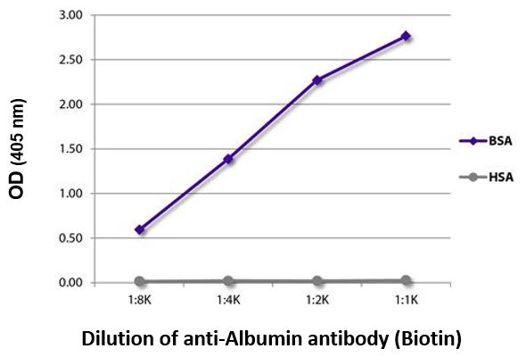 Albumin Antibody & Proteins 이미지