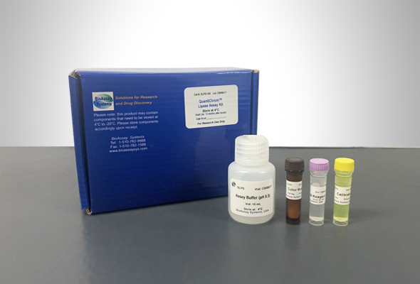 효소활성 분석키트 | Enzyme Activity Assay Kit 이미지